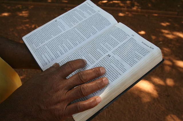 Célio Silveira (2011), public domain