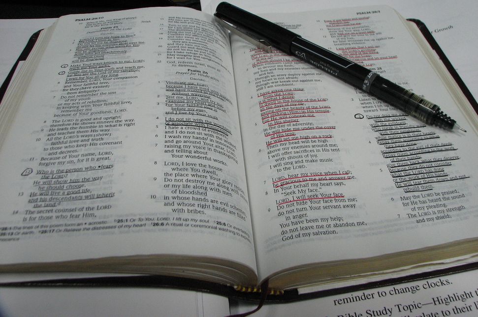 Why You Should Consider A Markup Bible 